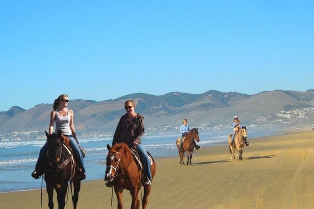 Private Redwoods Tour & Beach Horseback Riding Experience from San Francisco - Photo 1 of 25